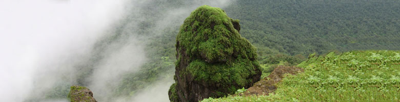 Nature is really wonderful at Matheran